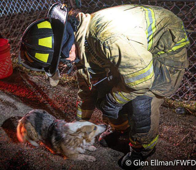 West Fort Worth residents called 911 early Friday, March 13, to say they heard explosions and saw horses being evacuated from a burning outbuilding. The animals all got out safely, and no injuries were reported.